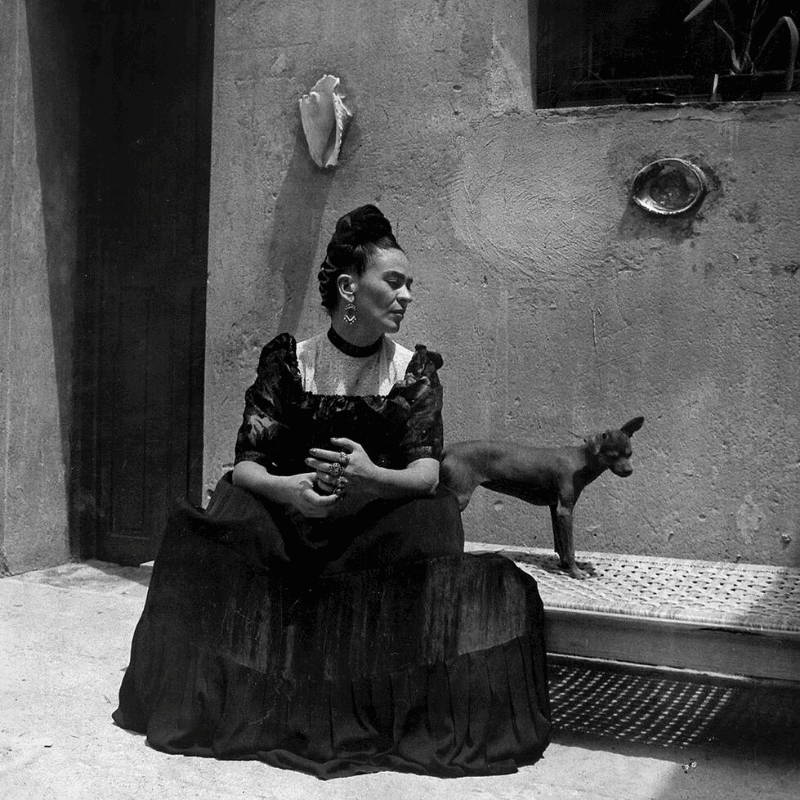 A la découverte de Frida Kahlo